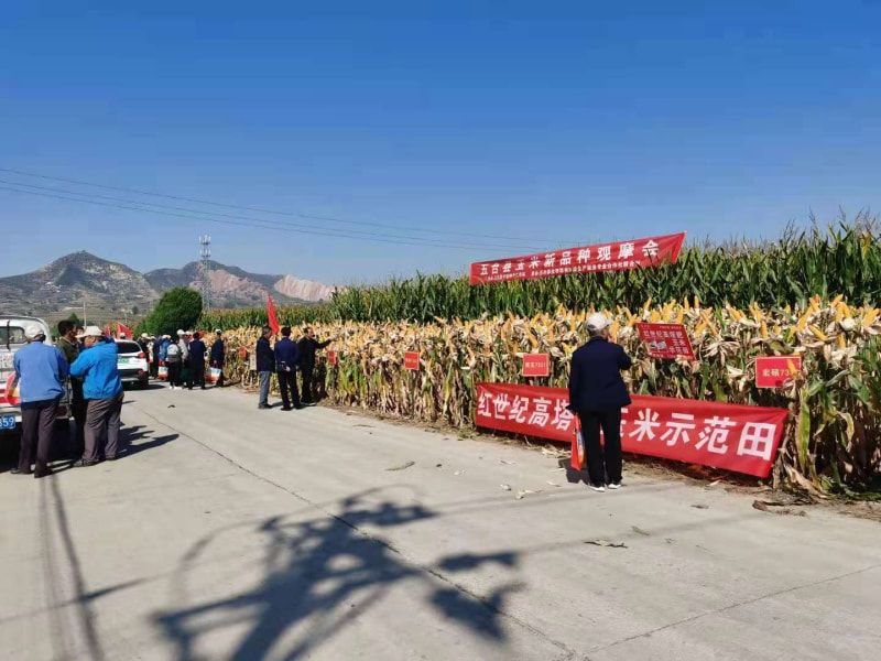高塔造粒产品有什么特点